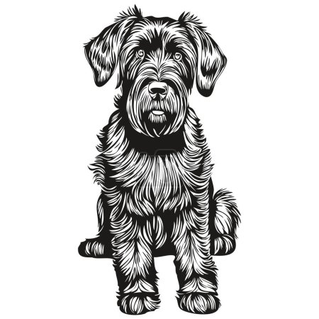 Téléchargez les photos : Schnauzer chien géant illustration réaliste animal de compagnie, dessin à la main visage noir et blanc vecteur animal de compagnie de race réaliste - en image libre de droit