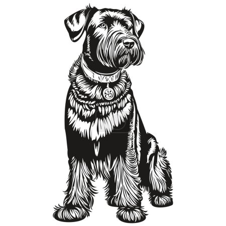 Giant Schnauzer dog vector graphics, hand drawn pencil animal line illustration