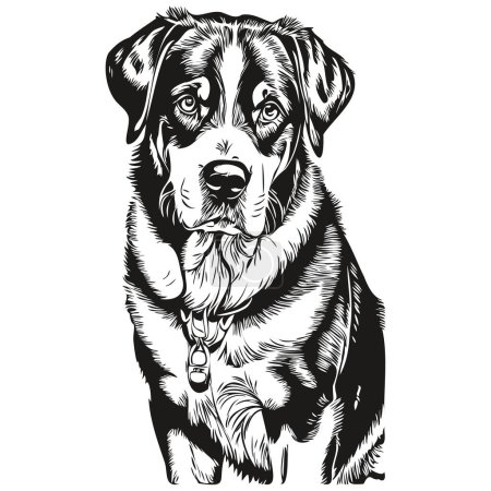Illustration for Greater Swiss Mountain dog pet silhouette, animal line illustration hand drawn black and white vector - Royalty Free Image