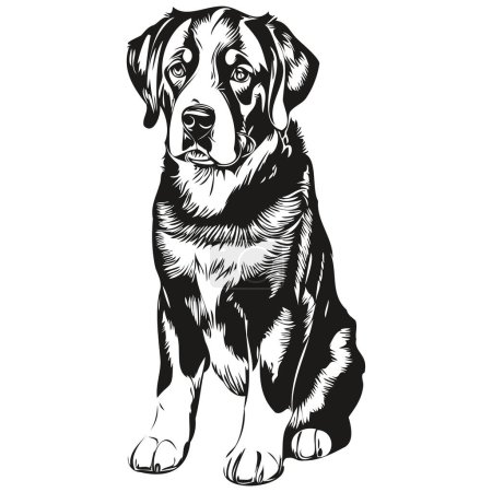 Illustration for Greater Swiss Mountain dog pet sketch illustration, black and white engraving vector realistic breed pet - Royalty Free Image