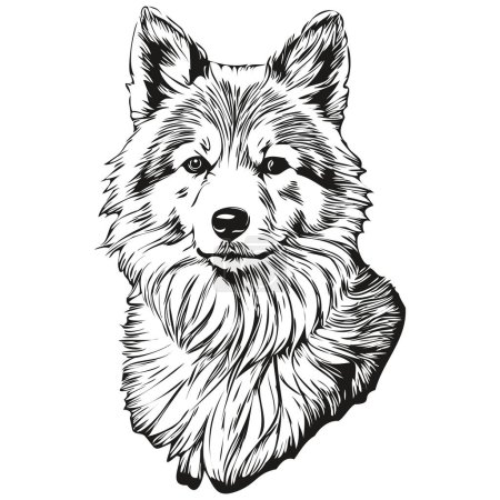 Illustration for Icelandic Sheepdog dog breed line drawing, clip art animal hand drawing vector black and white realistic breed pet - Royalty Free Image