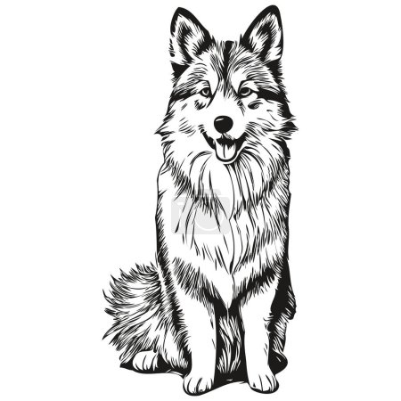 Illustration for Icelandic Sheepdog dog black drawing vector, isolated face painting sketch line illustration - Royalty Free Image