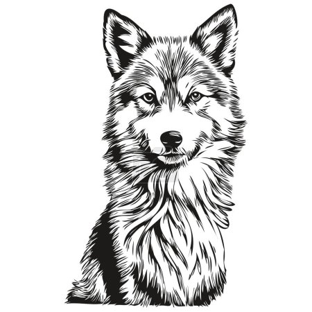 Illustration for Icelandic Sheepdog dog cartoon face ink portrait, black and white sketch drawing, tshirt print sketch drawing - Royalty Free Image