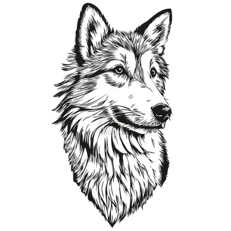 Illustration for Icelandic Sheepdog dog hand drawn logo drawing black and white line art pets illustration sketch drawing - Royalty Free Image