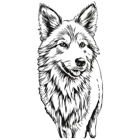 Illustration for Icelandic Sheepdog dog ink sketch drawing, vintage tattoo or t shirt print black and white vector realistic breed pet - Royalty Free Image