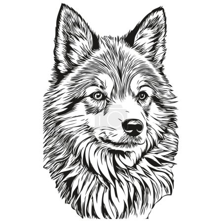 Illustration for Icelandic Sheepdog dog ink sketch drawing, vintage tattoo or t shirt print black and white vector - Royalty Free Image