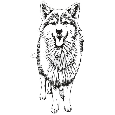 Illustration for Icelandic Sheepdog dog line illustration, black and white ink sketch face portrait in vector realistic breed pet - Royalty Free Image
