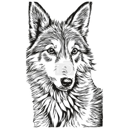 Illustration for Icelandic Sheepdog dog logo vector black and white, vintage cute dog head engraved realistic breed pet - Royalty Free Image