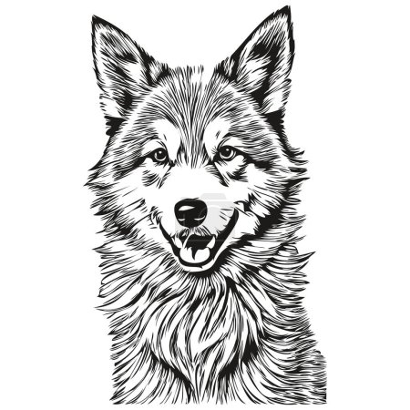 Illustration for Icelandic Sheepdog dog logo vector black and white, vintage cute dog head engraved sketch drawing - Royalty Free Image