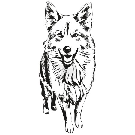 Illustration for Icelandic Sheepdog dog realistic pencil drawing in vector, line art illustration of dog face black and white - Royalty Free Image