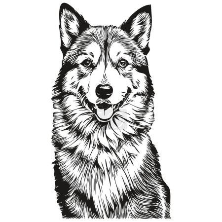 Illustration for Icelandic Sheepdog dog realistic pet illustration, hand drawing face black and white vector realistic pet silhouette - Royalty Free Image