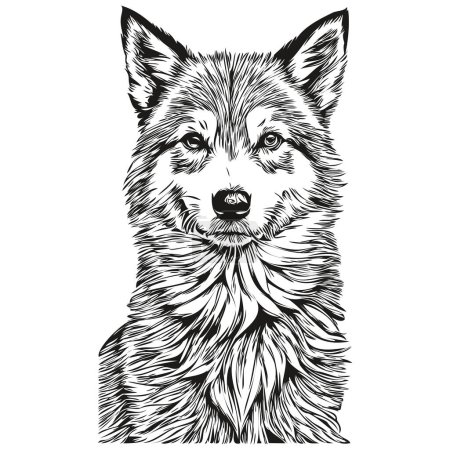 Illustration for Icelandic Sheepdog dog realistic pencil drawing in vector, line art illustration of dog face black and white realistic breed pet - Royalty Free Image
