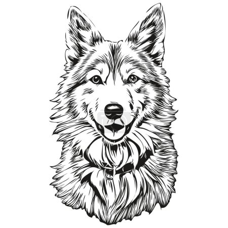 Illustration for Icelandic Sheepdog dog realistic pet illustration, hand drawing face black and white vector sketch drawing - Royalty Free Image