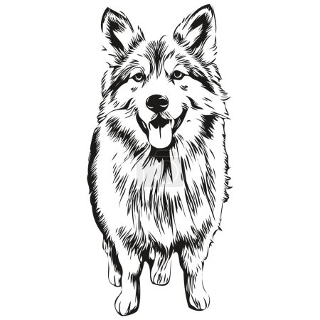 Illustration for Icelandic Sheepdog dog t shirt print black and white, cute funny outline drawing vector - Royalty Free Image