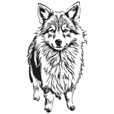Illustration for Icelandic Sheepdog dog t shirt print black and white, cute funny outline drawing vector realistic breed pet - Royalty Free Image