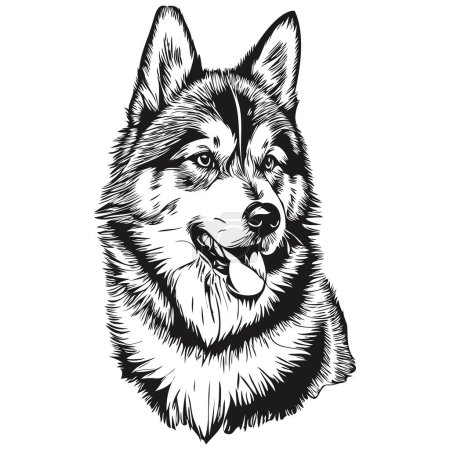Photo for Malamute dog head line drawing vector,hand drawn illustration with transparent background realistic breed pet - Royalty Free Image