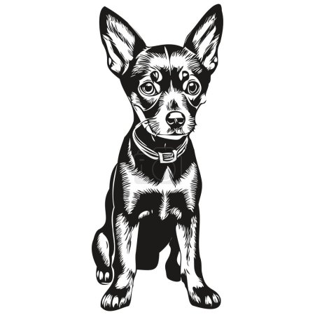 Miniature Pinscher dog pet sketch illustration, black and white engraving vector