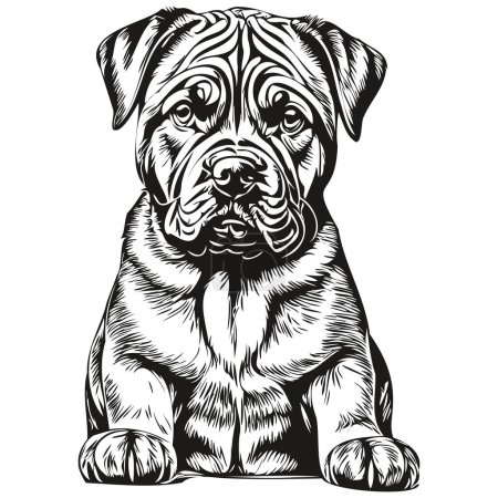 Ilustración de Napolitano Mastiff perro negro dibujo vector, cara aislada dibujo línea ilustración - Imagen libre de derechos
