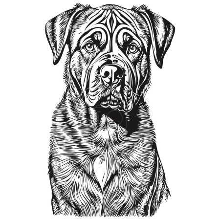 Illustration for Neapolitan Mastiff dog cartoon face ink portrait, black and white sketch drawing, tshirt print - Royalty Free Image