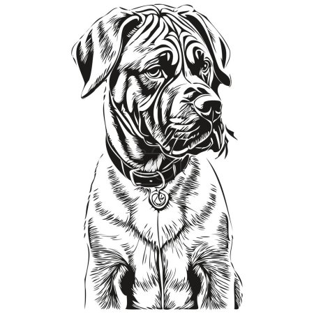 Ilustración de Napolitano Mastiff perro cara vector retrato, divertido contorno mascota ilustración fondo blanco - Imagen libre de derechos