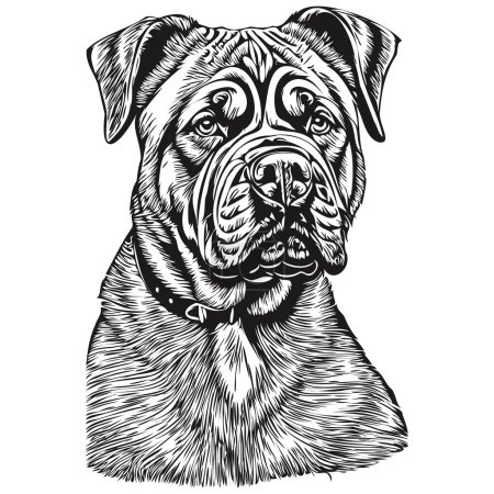 Illustration for Neapolitan Mastiff dog hand drawn logo drawing black and white line art pets illustration - Royalty Free Image