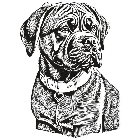 Illustration for Neapolitan Mastiff dog line illustration, black and white ink sketch face portrait in vector sketch drawing - Royalty Free Image