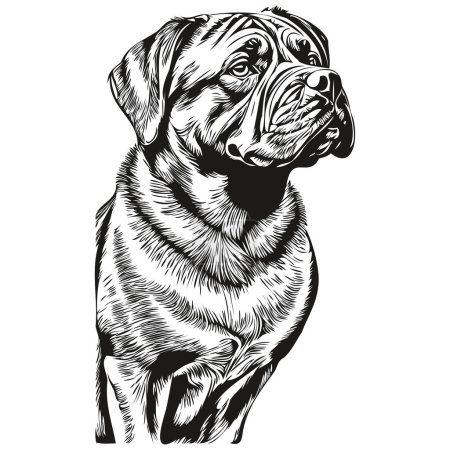 Ilustración de Retrato de perro Mastiff napolitano en vector, dibujo a mano de animal para tatuaje o ilustración de impresión de camiseta - Imagen libre de derechos