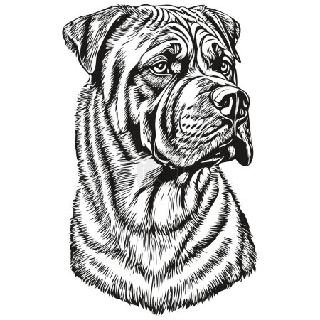 Illustration for Neapolitan Mastiff dog silhouette pet character, clip art vector pets drawing black and white sketch drawing - Royalty Free Image