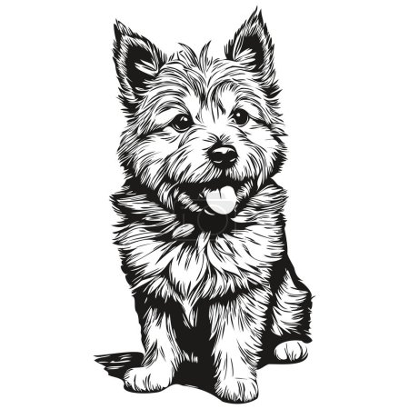 Illustration for Norwich Terrier dog cartoon face ink portrait, black and white sketch drawing, tshirt print realistic pet silhouette - Royalty Free Image