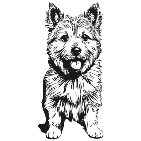 Illustration for Norwich Terrier dog hand drawn logo drawing black and white line art pets illustration realistic breed pet - Royalty Free Image