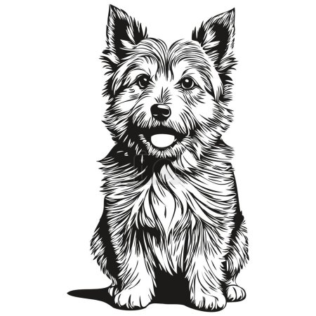 Norwich Terrier Hund Umriss Bleistiftzeichnung Kunstwerk, schwarzer Charakter auf weißem Hintergrund