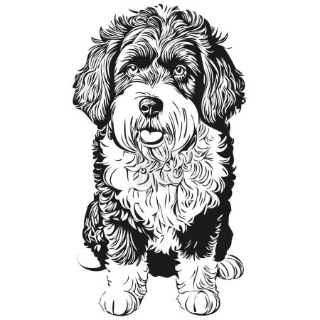Ilustración de Portugués agua perro cara vector retrato, divertido contorno mascota ilustración fondo blanco - Imagen libre de derechos