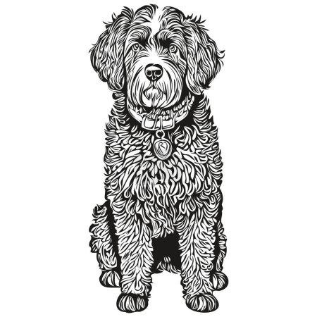 Ilustración de Portugués agua perro vector gráficos, dibujado a mano lápiz animal línea ilustración - Imagen libre de derechos