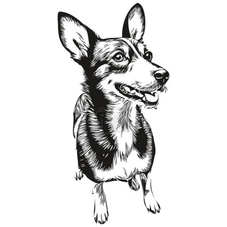 Rat Terrier dog line illustration, black and white ink sketch face portrait in vector sketch drawing