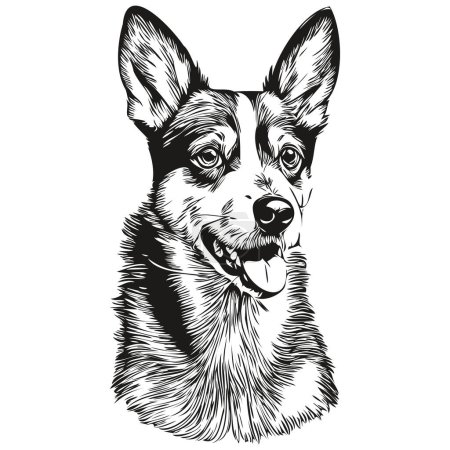 Téléchargez les illustrations : Chien Rat Terrier illustration réaliste pour animaux de compagnie, dessin à la main visage noir et blanc vecteur animal de race réaliste - en licence libre de droit