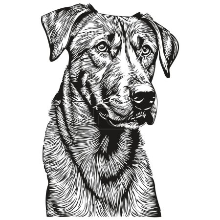Téléchargez les illustrations : Illustration de ligne de chien Rhodésien Ridgeback, croquis à l'encre noire et blanche portrait du visage en vecteur - en licence libre de droit
