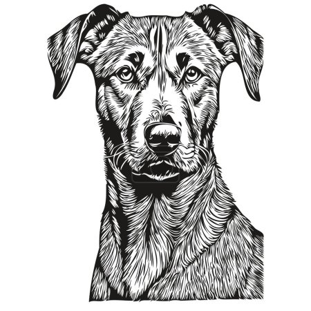 Téléchargez les illustrations : Rhodésien Ridgeback chien logo vecteur noir et blanc, vintage tête de chien mignon gravé - en licence libre de droit