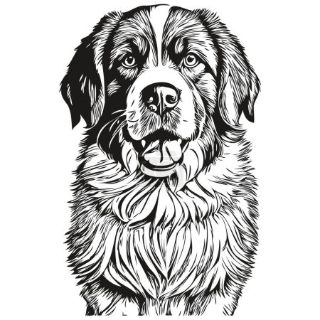 Téléchargez les photos : Saint Bernard chien dessin animé visage encre portrait, dessin croquis noir et blanc, imprimé t-shirt animal de compagnie de race réaliste - en image libre de droit