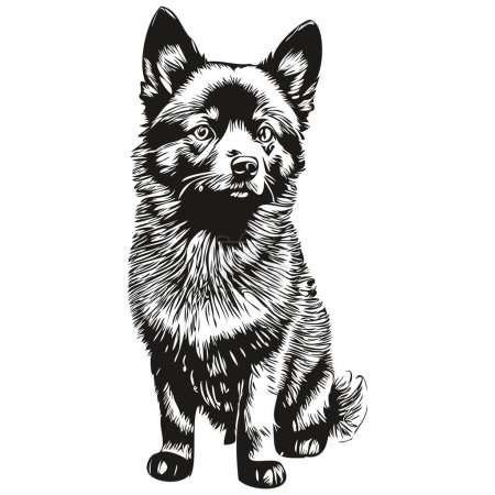 Ilustración de Schipperke perro negro dibujo vector, cara aislada dibujo línea ilustración - Imagen libre de derechos