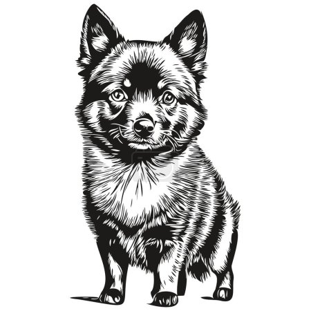 Ilustración de Schipperke perro raza línea dibujo, clip arte animal mano dibujo vector blanco y negro - Imagen libre de derechos