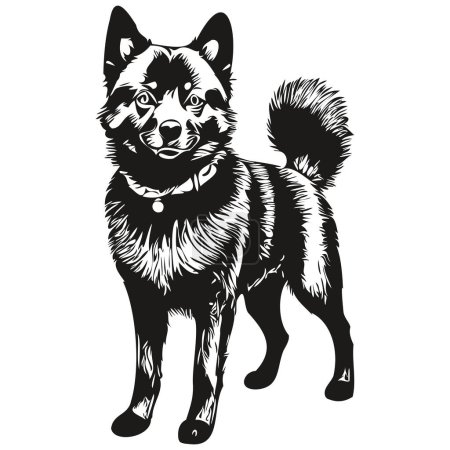 Ilustración de Schipperke perro raza línea dibujo, clip arte animal mano dibujo vector blanco y negro dibujo - Imagen libre de derechos