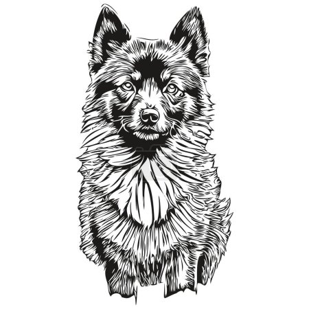 Ilustración de Schipperke perro cara de dibujos animados retrato de tinta, dibujo boceto en blanco y negro, silueta de mascota realista impresión camiseta - Imagen libre de derechos