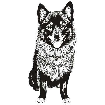 Ilustración de Schipperke perro cara vector retrato, divertido contorno mascota ilustración fondo blanco - Imagen libre de derechos