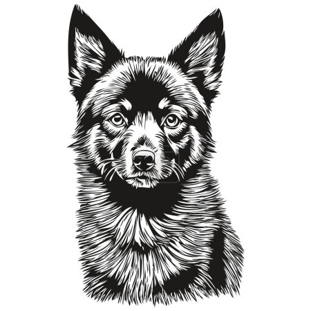 Ilustración de Schipperke perro cara vector retrato, divertido contorno mascota ilustración fondo blanco realista mascota silueta - Imagen libre de derechos