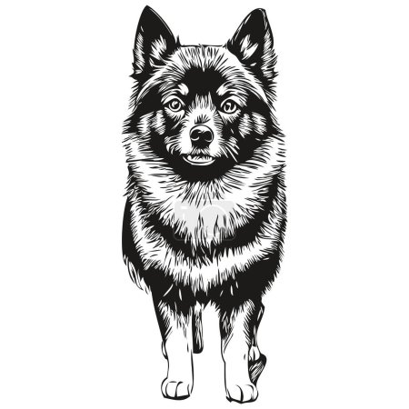 Ilustración de Schipperke perro cara vector retrato, esquema divertido mascota ilustración fondo blanco dibujo - Imagen libre de derechos