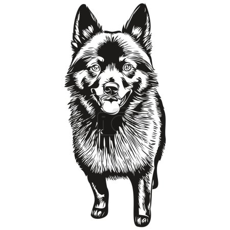 Ilustración de Schipperke perro dibujado a mano logotipo dibujo blanco y negro línea arte mascotas ilustración - Imagen libre de derechos
