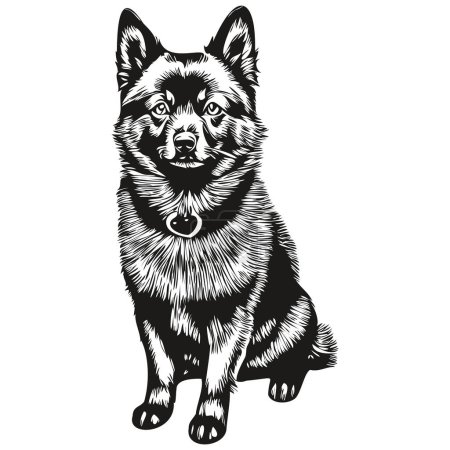 Ilustración de Schipperke perro cabeza línea dibujo vector, ilustración dibujada a mano con dibujo de fondo transparente - Imagen libre de derechos