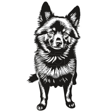 Ilustración de Schipperke perro aislado dibujo sobre fondo blanco, cabeza mascota línea ilustración - Imagen libre de derechos