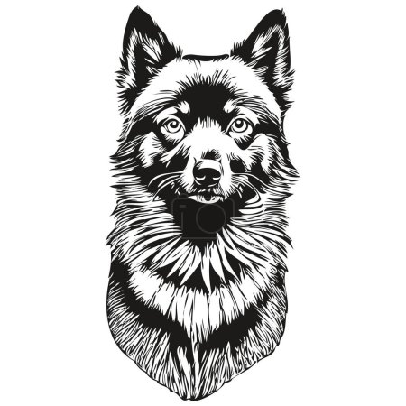 Ilustración de Schipperke ilustración de línea de perro, retrato de cara de boceto de tinta en blanco y negro en vector - Imagen libre de derechos