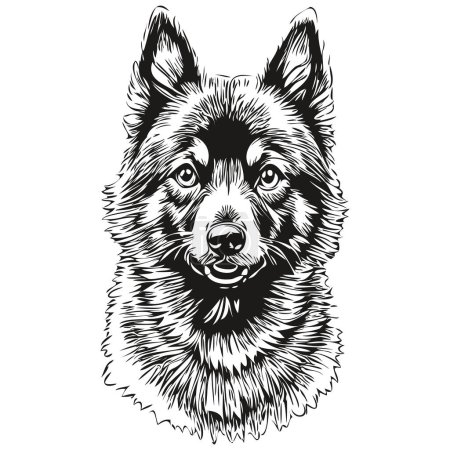 Ilustración de Schipperke perro logo vector blanco y negro, vintage lindo perro cabeza grabado realista raza mascota - Imagen libre de derechos